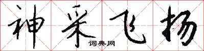 神采飞扬怎么写好看