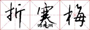折寒梅怎么写好看