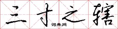 三寸之辖怎么写好看