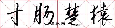 寸肠楚猿怎么写好看