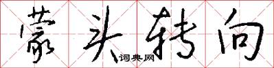 蒙头转向怎么写好看
