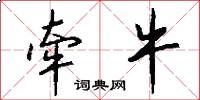 牵牛怎么写好看