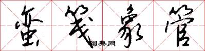 蛮笺象管怎么写好看