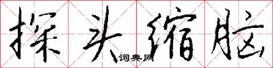 探头缩脑怎么写好看