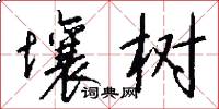 壤树怎么写好看