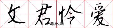文君怜爱怎么写好看
