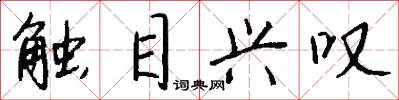 触目兴叹怎么写好看