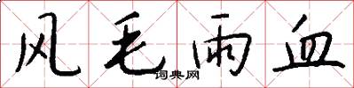 风毛雨血怎么写好看