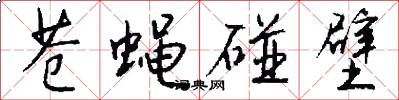 苍蝇碰壁怎么写好看