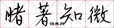 睹著知微怎么写好看