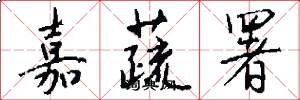 嘉蔬署怎么写好看