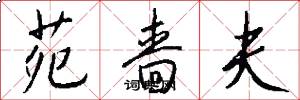 苑啬夫怎么写好看
