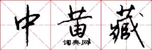 中黄藏怎么写好看