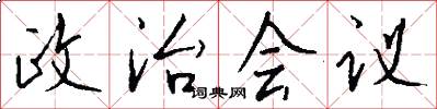 政治会议怎么写好看