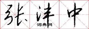 张沣中怎么写好看