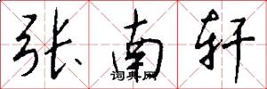 张南轩怎么写好看