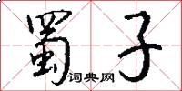 蜀子怎么写好看