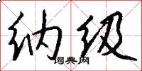 纳级怎么写好看