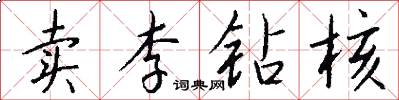 卖李钻核怎么写好看