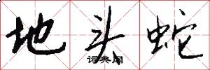 地头蛇怎么写好看
