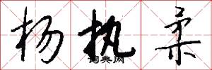 杨执柔怎么写好看