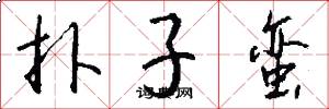 扑子蛮怎么写好看
