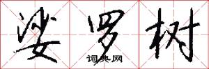 娑罗树怎么写好看