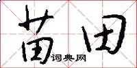 苗田怎么写好看