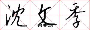 沈文季怎么写好看