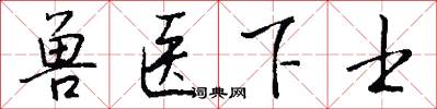 兽医下士怎么写好看