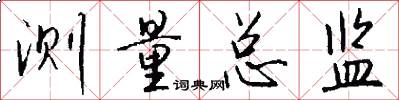 测量总监怎么写好看