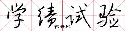 学绩试验怎么写好看