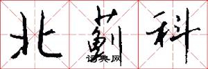 北蓟科怎么写好看