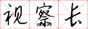视察长怎么写好看