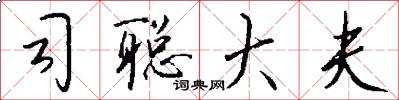 司聪大夫怎么写好看