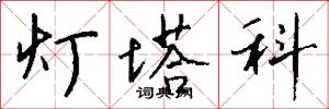 灯塔科怎么写好看