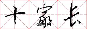 十家长怎么写好看