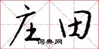 庄田怎么写好看