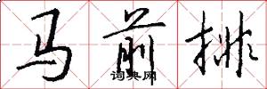 马前排怎么写好看