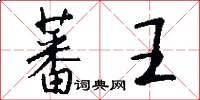 蕃王怎么写好看