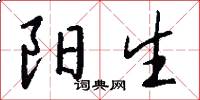 阳生怎么写好看