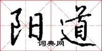 阳道怎么写好看