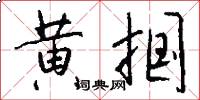 黄掴怎么写好看