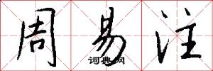 周易注怎么写好看