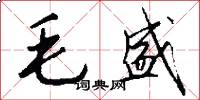 毛盛怎么写好看