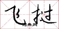 飞挝怎么写好看