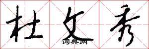 杜文秀怎么写好看