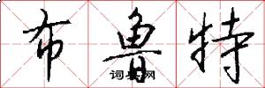 布鲁特怎么写好看