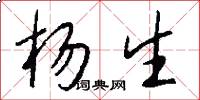 杨生怎么写好看