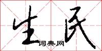 生民怎么写好看